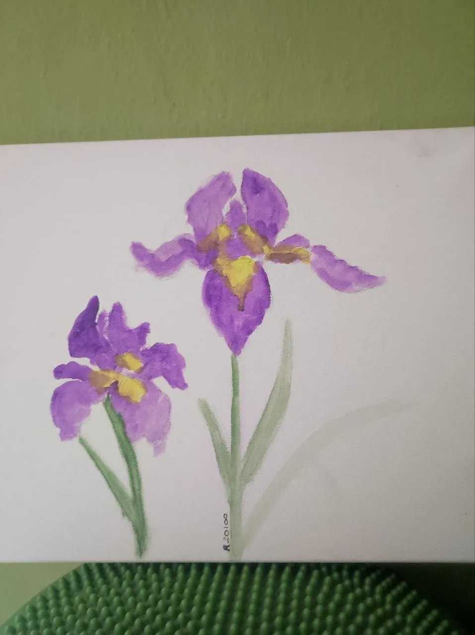 Foto 1
