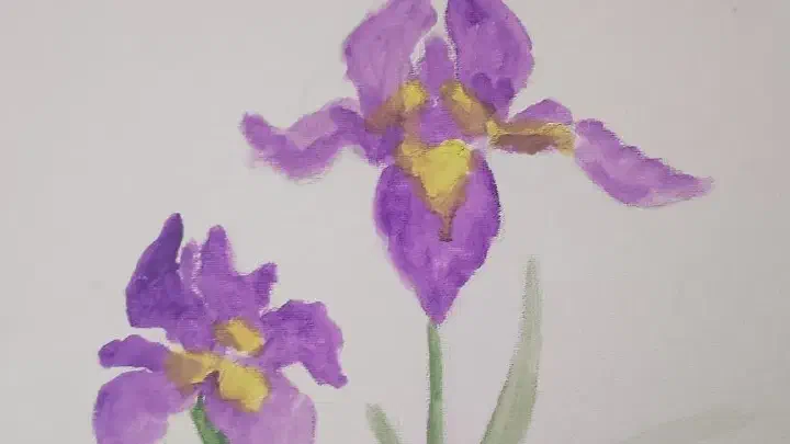 iris.webp